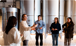 Proceso de elaboración del vino